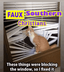 a cat is looking out a window with blinds and the words faux southern christians above it