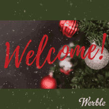 Welcome Snow GIF