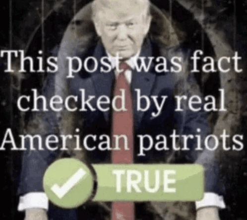 Trump This Post Was Fact Checked By Real American Patriots GIF - Trump This  post was fact checked by real american patriots - Discover & Share GIFs