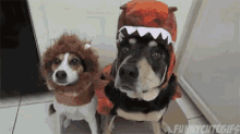 Halloween Dog Halloween Funny GIF - Halloween Dog Halloween Funny Halloween Costume GIFs