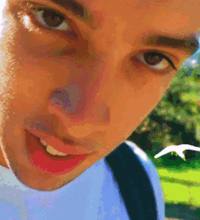 Puma Selfie GIF - Puma Selfie Guy GIFs