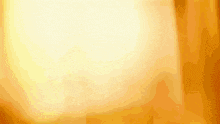 a yellow and orange background with a white circle in the center