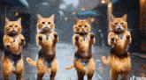a group of cats are standing on their hind legs in a row