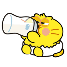 cat fat yellow drink up