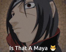 Maya GIF - Maya GIFs