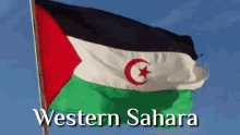 Western Sahara Flag GIF - Western Sahara Flag Waving GIFs