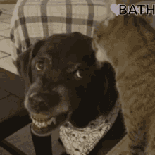 Bath GIF - Bath GIFs
