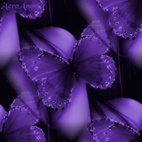 pink and purple background with butterflies