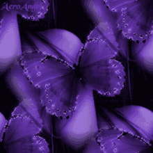 butterfly aesthetic background