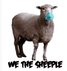 Sheeple Mask GIF - Sheeple Mask GIFs