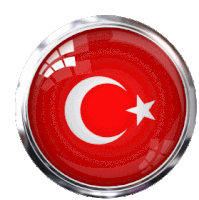 Digni Guirlande damitié 16 drapeaux alternés France 5,9 sticker gratuit Turquie 