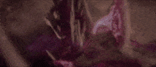 a close up of a purple and white object with a purple background .