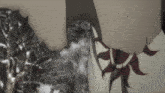a close up of a person 's torso with a red and white pattern on it