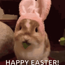 Bunny Easter Bunny GIF - Bunny Easter Bunny Rabbit GIFs