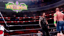 Roman Reigns John Cena GIF - Roman Reigns John Cena Wwe GIFs
