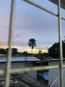 a view of a sunset from a window with a palm tree in the foreground