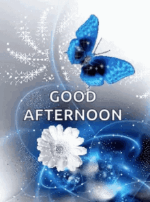 Good Afternoon Butterfly GIF - Good Afternoon Butterfly Sparkle GIFs