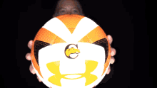 a person is holding a basketball with a lion on it