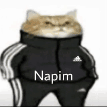 Napim Napim Ali GIF - Napim Napim Ali GIFs