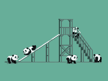 Panda Cycle GIF - Panda Cycle Cool GIFs