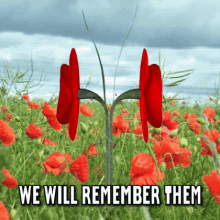 Remembrance Day GIF - Remembrance Day GIFs