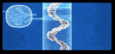 a computer generated image of a cell and dna