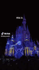 This Is Disney This Is Disney World GIF - This Is Disney This Is Disney World Disney World GIFs