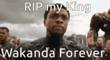 Rip My King GIF - Rip My King Wakanda For Ever GIFs