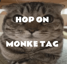 Monke Tag Oogaldieboogaldie GIF - Monke Tag Monke Oogaldieboogaldie GIFs