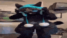 a stuffed animal is standing in a kitchen wearing a blue hat .