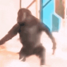 a blurry picture of a monkey standing in a room .