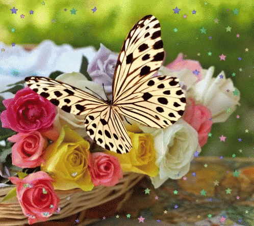 Butterfly Flowers GIF - Butterfly Flowers - Discover & Share GIFs