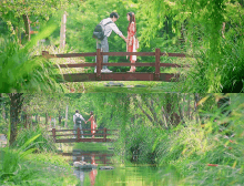 a man and a woman are holding hands on a wooden bridge over a river