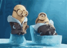 GIF