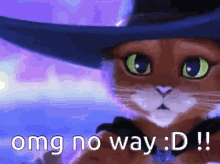 Omg No Way Puss In Boots GIF