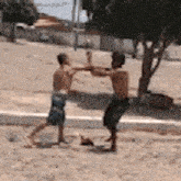 two boys are fighting on a sandy beach near a tree .