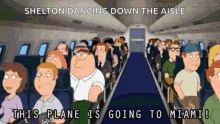 Family Guy Party GIF - Family Guy Party Plane GIFs