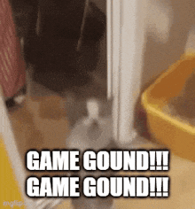 a cat is standing in a doorway with the words `` game gound !!! game gound !!! '' written above it .