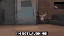 Not Funny GIF - Not Funny Haha GIFs