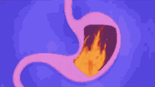 Tummy Burn GIF - Tummy Burn Fire GIFs