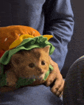котик бутерброд бутербродик GIF - котик бутерброд бутербродик котик GIFs