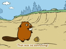 a cartoon of a beaver with the words i liked it
