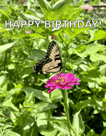 a butterfly sitting on a pink flower with the words happy birthday written above it