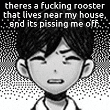 Omori Rooster GIF - Omori Rooster Why Wont It Shut Uo GIFs