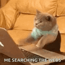a cat is sitting in front of a laptop computer on a couch .