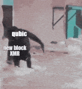 a picture of a monkey with the words qubic new block xmr written on it