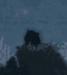 a blurry picture of a person standing in the dark