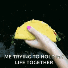 Life Hold Taco GIF - Life Hold Taco Trying To Hold My Life Together GIFs