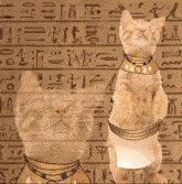 a cat with a necklace around its neck is standing on its hind legs in front of an egyptian background