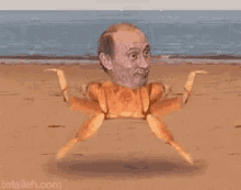 Putin Vladimirputin Putin Crab GIF - Putin Vladimirputin Putin Crab Crab GIFs
